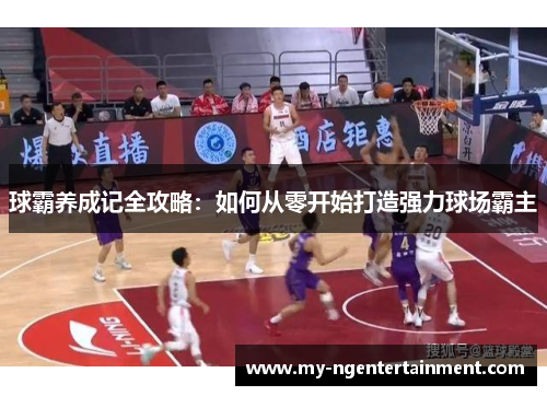 球霸养成记全攻略：如何从零开始打造强力球场霸主