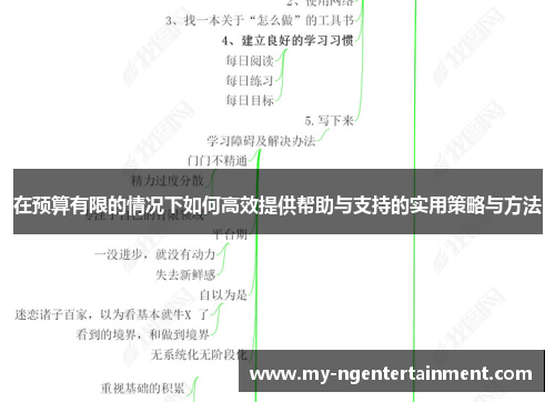 在预算有限的情况下如何高效提供帮助与支持的实用策略与方法