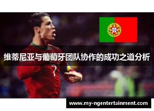 维蒂尼亚与葡萄牙团队协作的成功之道分析