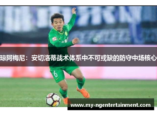 琼阿梅尼：安切洛蒂战术体系中不可或缺的防守中场核心