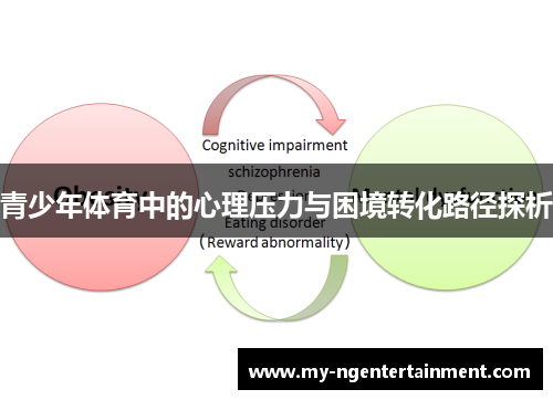 青少年体育中的心理压力与困境转化路径探析